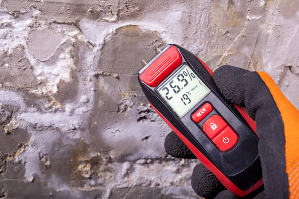 Best Residential Mold Remediation in Audubon, NJ