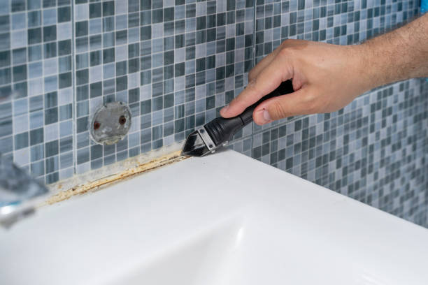 Best Mold Remediation for Specific Building Types in Audubon, NJ