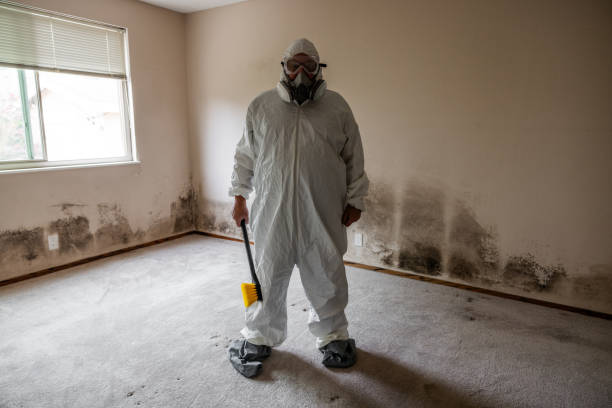 Best Post-Flood Mold Remediation in Audubon, NJ
